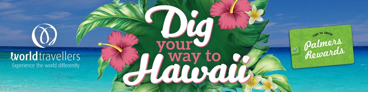 Dig Your Way To Hawaii